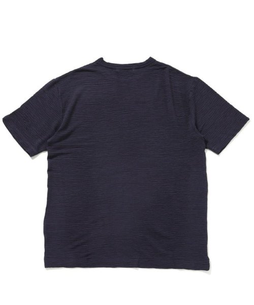 nano・universe(ナノ・ユニバース)/：シャーリングジャガードクルーTシャツ 半袖/img01