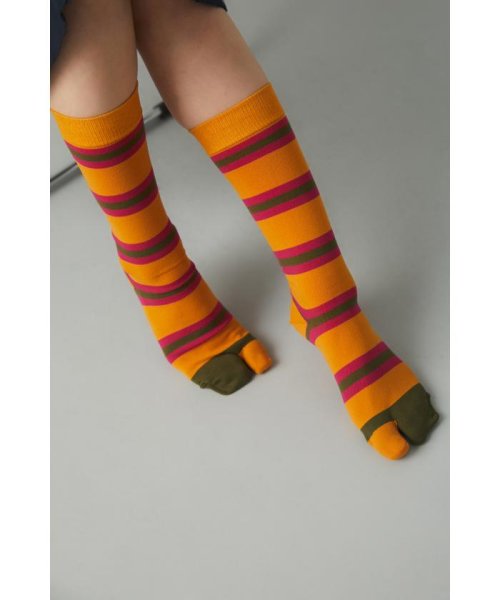 HeRIN.CYE(ヘリンドットサイ)/Multi boder socks/img01