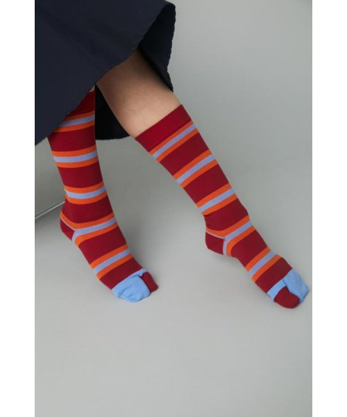 HeRIN.CYE(ヘリンドットサイ)/Multi boder socks/img02
