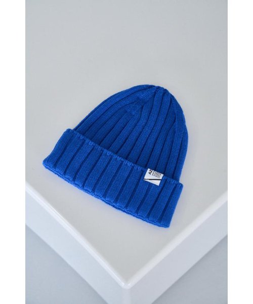 AZUL by moussy(アズールバイマウジー)/BASIC RIB KNIT CAP/img13