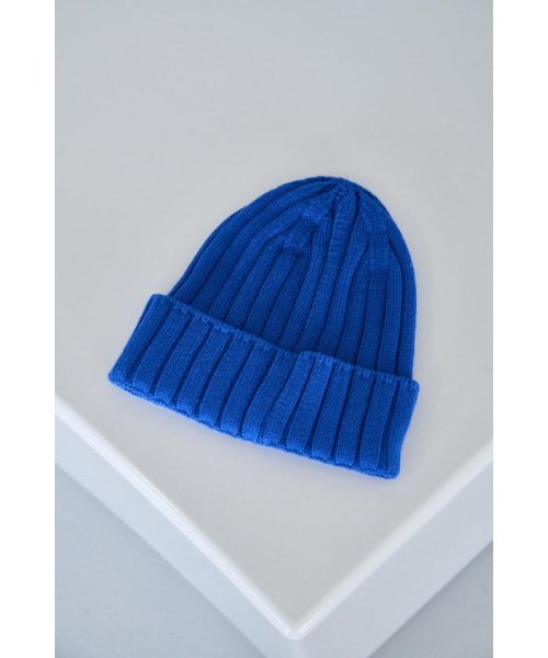 AZUL by moussy(アズールバイマウジー)/BASIC RIB KNIT CAP/img14