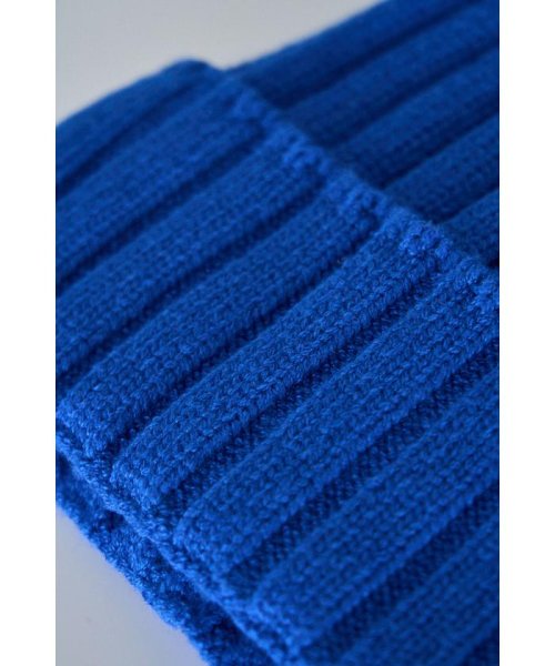 AZUL by moussy(アズールバイマウジー)/BASIC RIB KNIT CAP/img15