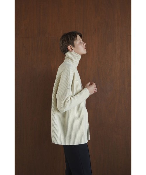 CLANE(クラネ)/DOUBLE FACE CENTER SLIT RIB KNIT TOPS/img10
