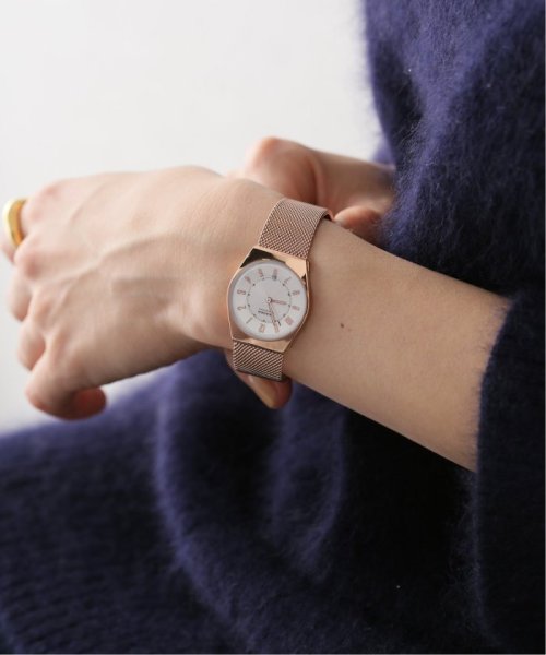 HIROB Ladys(ヒロブ　レディース)/SKAGEN SKW3035 26mm【 ウォッチ 】/img09