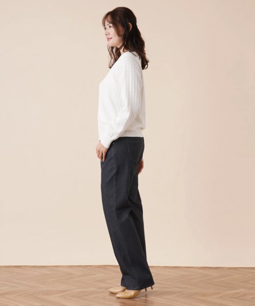 Leilian PLUS HOUSE(レリアンプラスハウス)/ストレッチストレートジーンズ【L JEANS】/img02