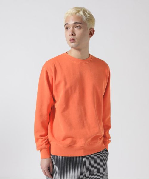 AVIREX(AVIREX)/《DAILY/デイリー》FADE WASH CREW NECK SWEAT / フェード ウォッシュ クルーネック スウェット/img05