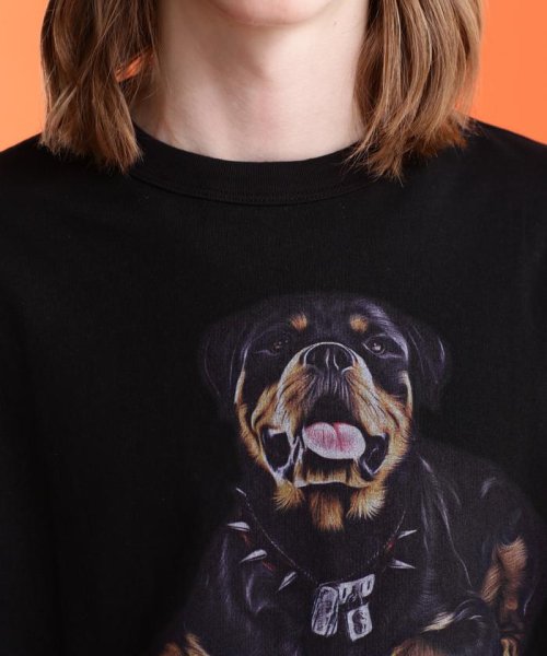 Schott(ショット)/T－SHIRT ROTTWEILER/ロットワイラー Tシャツ/img04