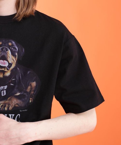 Schott(ショット)/T－SHIRT ROTTWEILER/ロットワイラー Tシャツ/img05