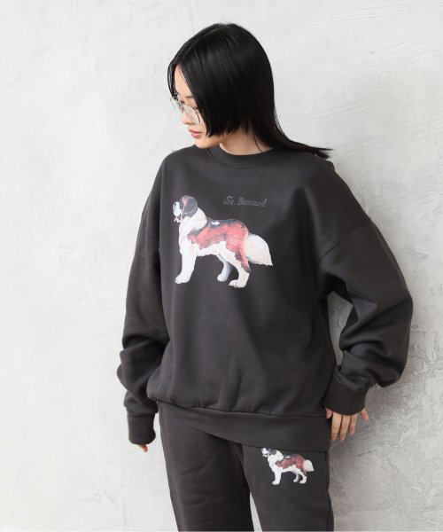 ALWAYS GOOD TIME NEW BASIC STORE(オールウェイグッドタイムニューベーシックストア)/【CommonNoun/コモンナウン】”DOG” hirochika machida 裏起毛クルースウェット/img04