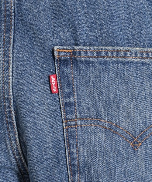 LEVI’S OUTLET(リーバイスアウトレット)/VINTAGE OVERALL ON HIATUS/img05