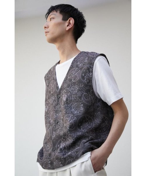 AZUL by moussy(アズールバイマウジー)/PAISLEY PATTERN VEST/img02