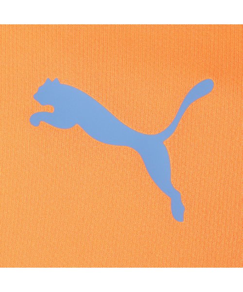 PUMA(プーマ)/メンズ サッカー INDIVIDUALCUP トレーニング 半袖 シャツ/img02