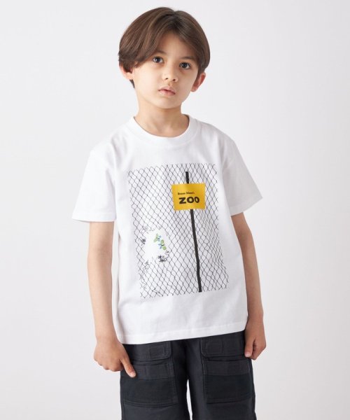 SHIPS any WOMEN(シップス　エニィ　ウィメン)/【SHIPS any別注】BRUNO MUNARI: プリント Tシャツ ◇/img03