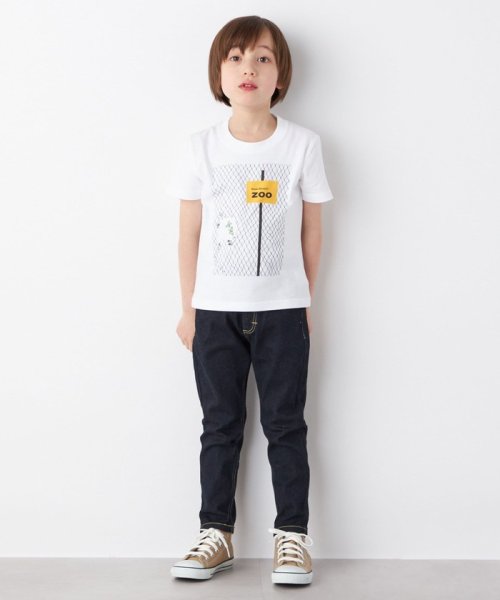 SHIPS any WOMEN(シップス　エニィ　ウィメン)/【SHIPS any別注】BRUNO MUNARI: プリント Tシャツ ◇/img04