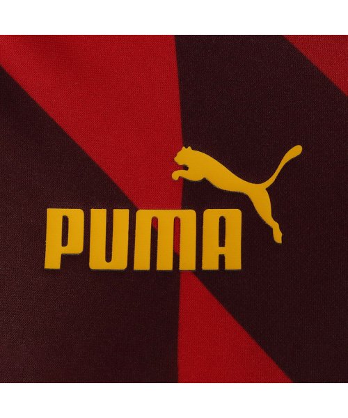 PUMA(プーマ)/メンズ マンチェスター シティー MCFC プレマッチ 長袖 シャツ/img02