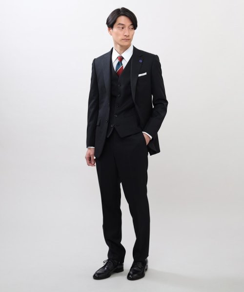TAKEO KIKUCHI(タケオキクチ)/絣りストライプ スーツ/img21