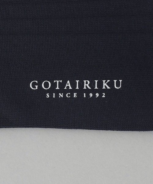 gotairiku(五大陸)/【超機能性】オリジナル コーデュラ混 リブソックス/img03