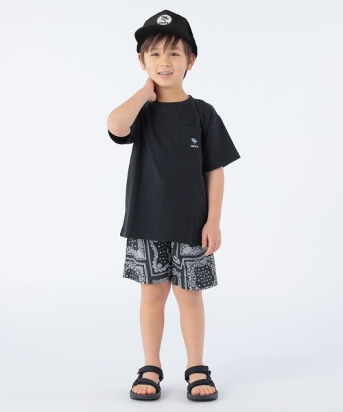 SHIPS KIDS:アニマル メッシュ キャップ