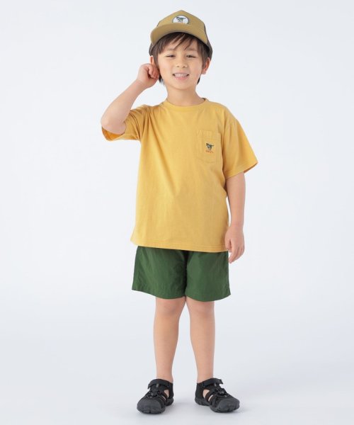 SHIPS KIDS:アニマル メッシュ キャップ
