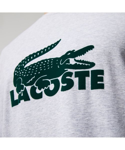 LACOSTE Mens(ラコステ　メンズ)/ヴェルヴェットロゴコットンブレンドジャージパジャマセット/img06