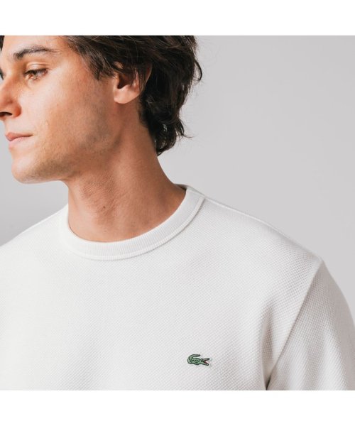 LACOSTE Mens(ラコステ　メンズ)/鹿の子地ロングスリーブTシャツ/img08