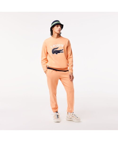 LACOSTE Mens(ラコステ　メンズ)/ビッグクロックカレッジロゴクルーネックスウェット/img17