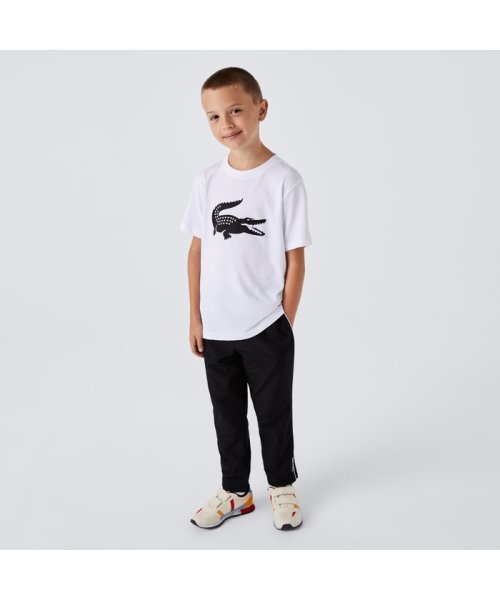 LACOSTE KIDS(ラコステ　キッズ)/ウルトラドライクロックプリント　キッズTシャツ/img05