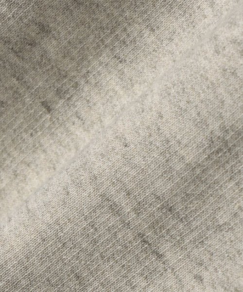 SHIPS Days: UNDYED SALLY FOX オーガニック スウェット SHIPS SALLY FOX