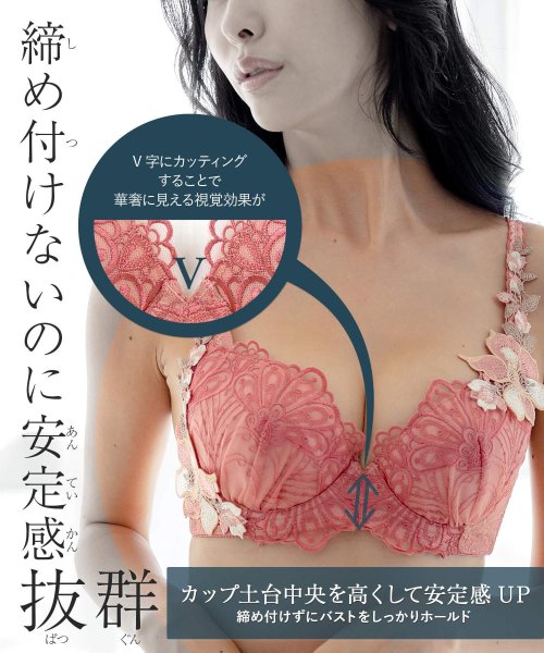 fran de lingerie(フランデランジェリー)/GRACE Masquerade らくらく補正グレースマスカレード コーディネートブラジャー C65－D75カップ/img29