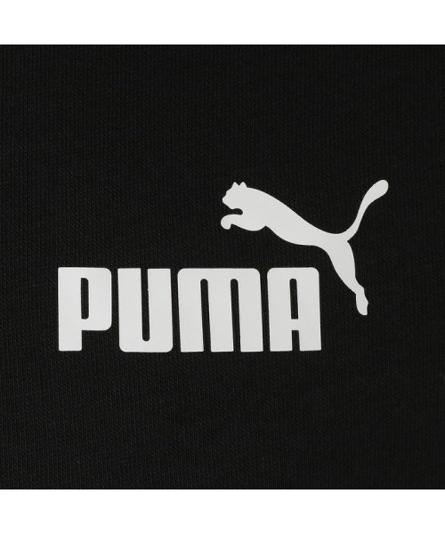 PUMA(PUMA)/メンズ PUMA POWER キャット フーディー/img08