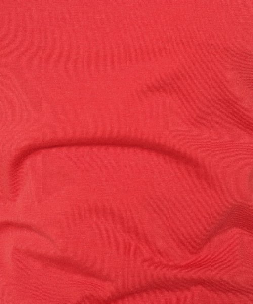 LEVI’S OUTLET(リーバイスアウトレット)/GT TEE MARS RED/img05