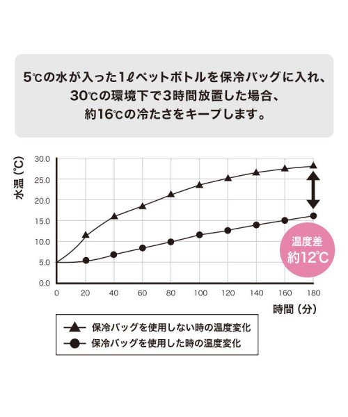 Wpc．(Wpc．)/【Wpc.公式】保冷ランチバッグ お弁当入れ お弁当袋 保冷 大きめ レディース/img04