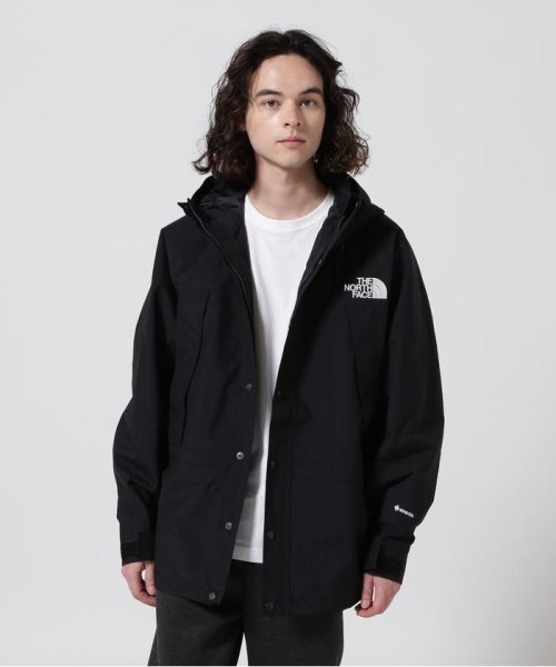 BEAVER(ビーバー)/THE NORTH FACE/ザ・ノースフェイス　Mountain Light Jacket/img01