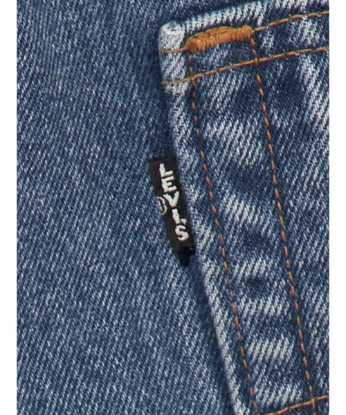 Levi's(リーバイス)/LEVI'S(R) SKATE BAGGY 5ポケット インディゴパターン IN TERROR BLUE RINSE/img05