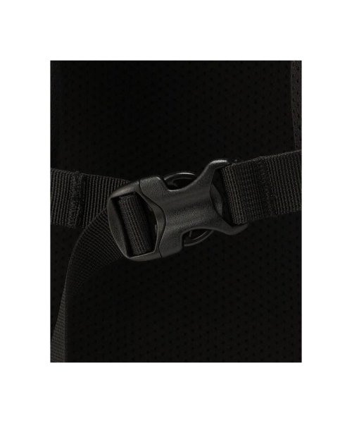 MYSTERY RANCH/ミステリーランチ　2－DAY ASSAULT/2デイアサルト MYSTERY DAY