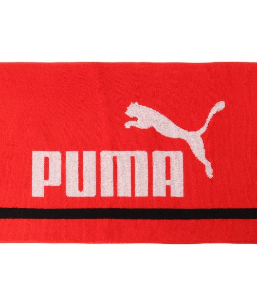 PUMA(PUMA)/ユニセックス トレーニング ボックスタオル 1/img11