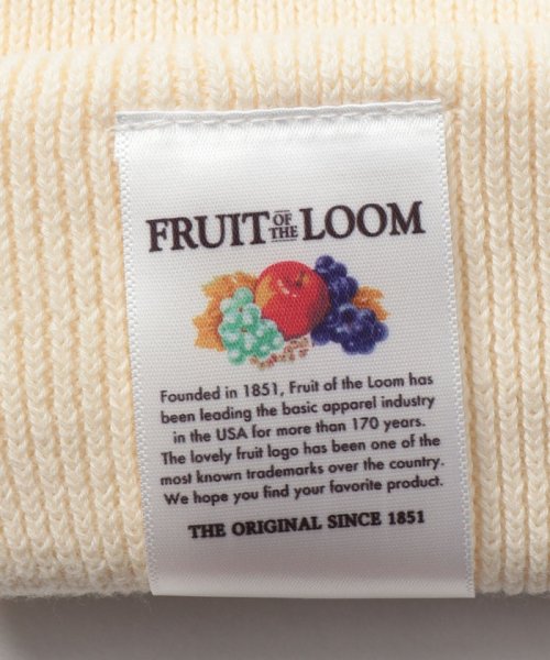 FRUIT OF THE LOOM(フルーツオブザルーム)/Fruit of the Loom SHORT WACH/img16