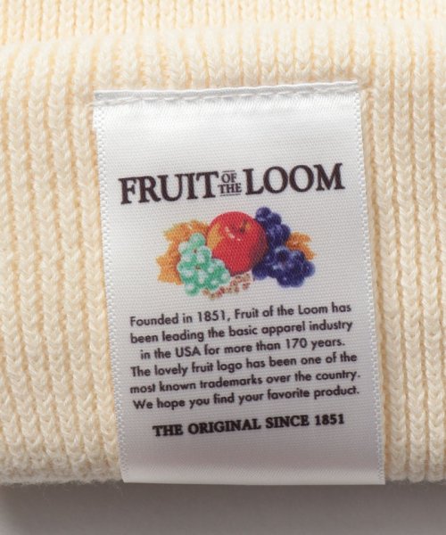 FRUIT OF THE LOOM(フルーツオブザルーム)/FRUIT OF THE LOOM SHORT WACH / ニット帽 ビーニー/img16