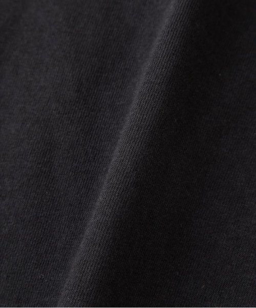 Schott(ショット)/S/S HENLEY NECK T－SHIRT "EMBROIDERED  PERFECTO" /ヘンリーネック  パーフェクト刺繍Tシャツ/img13