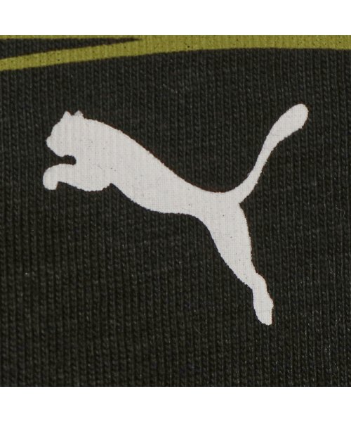 PUMA(PUMA)/メンズ グラフィックス WILD CAT Tシャツ/img17