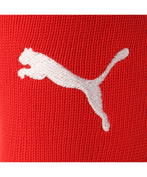 PUMA(PUMA)/キッズ サッカー ラインイリ ストッキング/img09