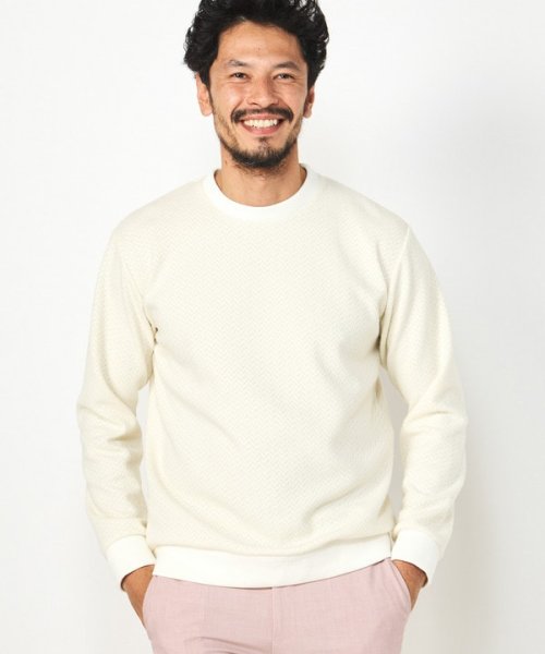 DISTINCTION MEN'S BIGI(ディスティンクションメンズビギ)/ブークレーヘリンボンクルーネックカットソー/img04