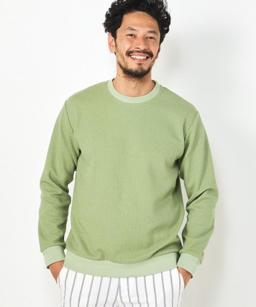 DISTINCTION MEN'S BIGI(ディスティンクションメンズビギ)/ブークレーヘリンボンクルーネックカットソー/img08