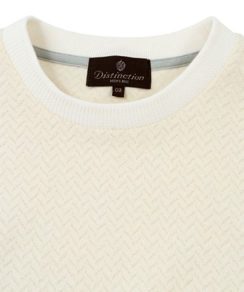 DISTINCTION MEN'S BIGI(ディスティンクションメンズビギ)/ブークレーヘリンボンクルーネックカットソー/img12