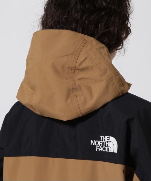 BEAVER(ビーバー)/THE NORTH FACE/ザ・ノースフェイス　Mountain Light Jacket/img23