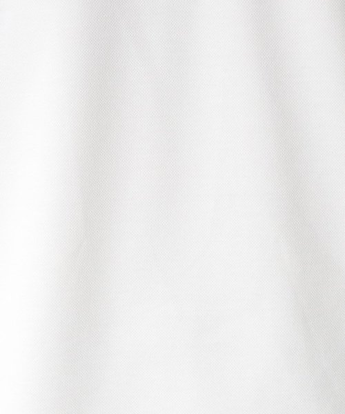 THE SHOP TK(ザ　ショップ　ティーケー)/【吸水速乾機能】 強撚カノコ半袖ボタンダウンポロシャツ/img10