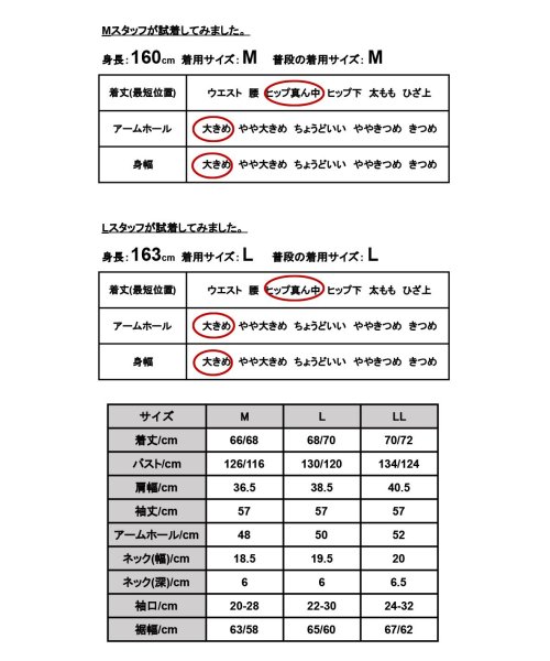 and it_(アンドイット)/ 2wayボウタイブラウス ブラウス レディース 春トップス オフィス 会社 オフィスカジュアル 入学式 卒業式 ハレの日 長袖 きれいめ 上品 大人 重ね着 /img03