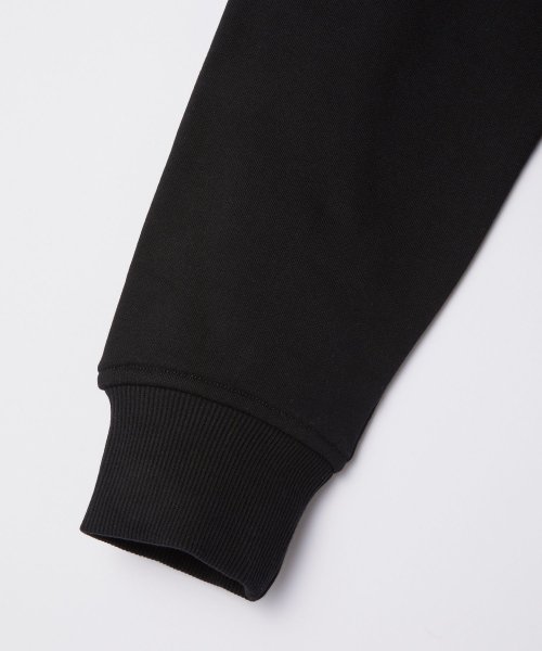 ディーゼル DIESEL パーカー A03757 0BAWT メンズ トップス スウェット シンプル Dロゴ コットン ストリート アメカジ カジュアル 長袖 ディーゼル 長袖 C1358317257 (10511円)