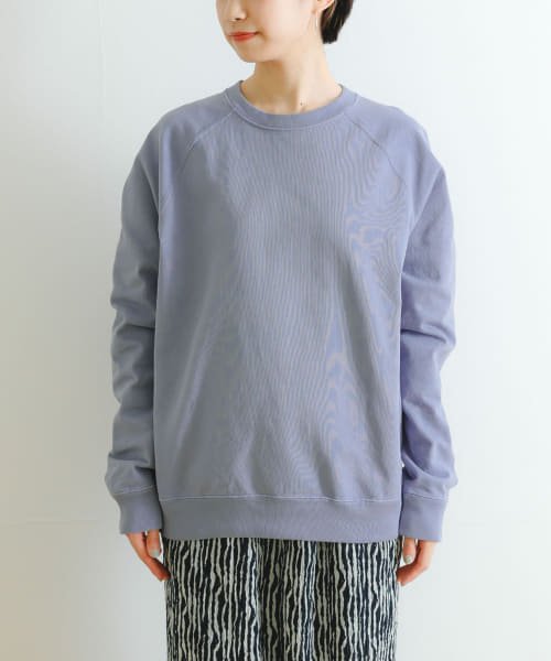 URBAN RESEARCH(アーバンリサーチ)/ndx　Raglan Sweat2 EX/img01