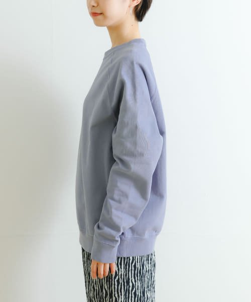 URBAN RESEARCH(アーバンリサーチ)/ndx　Raglan Sweat2 EX/img02